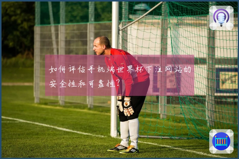 如何评估手机端世界杯下注网站的安全性和可靠性？