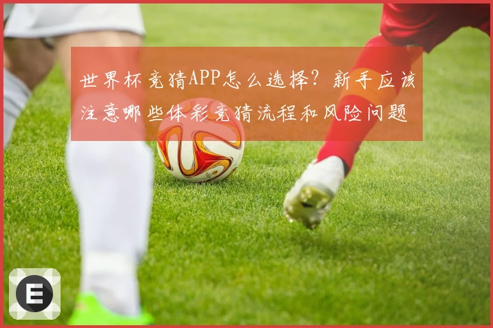 世界杯竞猜APP怎么选择？新手应该注意哪些体彩竞猜流程和风险问题