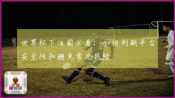 世界杯下注前必看：如何判断平台安全性和避免常见风险