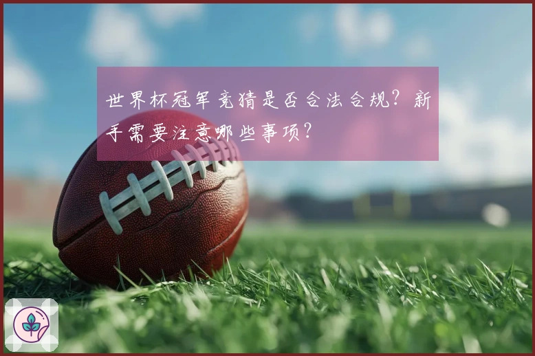 世界杯冠军竞猜是否合法合规？新手需要注意哪些事项？